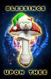 Shroomlax-Card-1